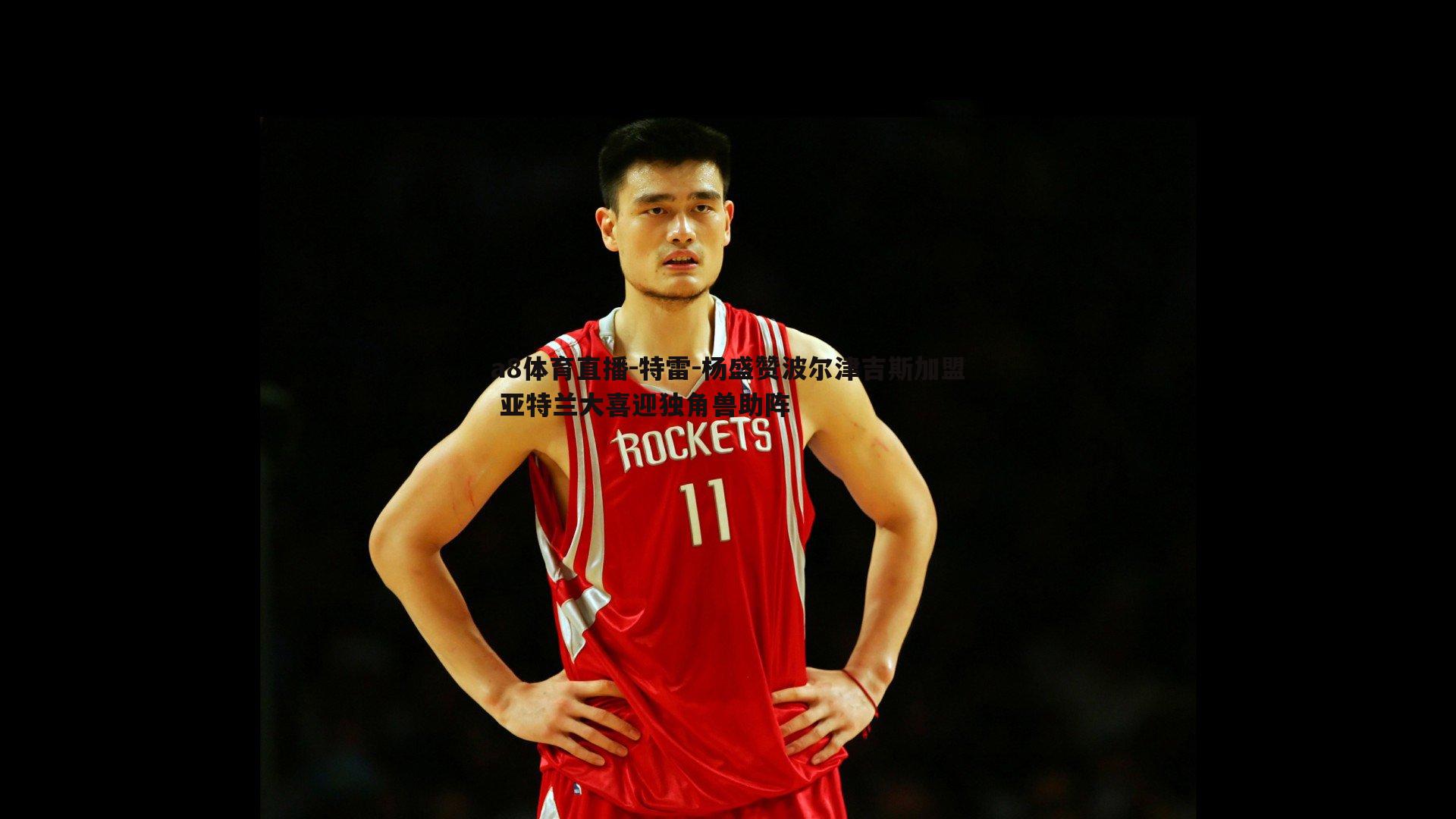 特雷-杨盛赞波尔津吉斯加盟 亚特兰大喜迎独角兽助阵