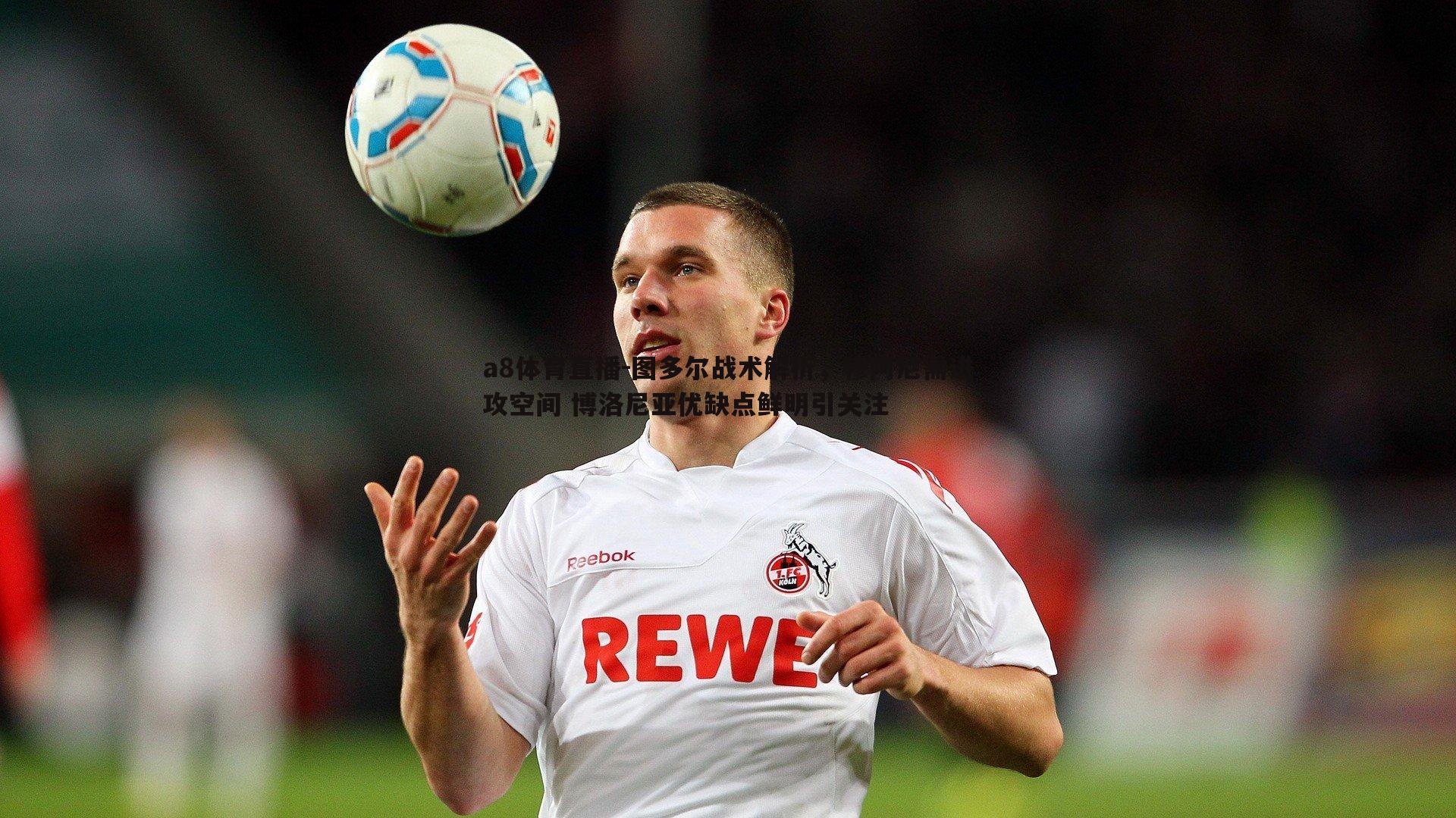 图多尔战术解析,穆阿尼需进攻空间 博洛尼亚优缺点鲜明引关注