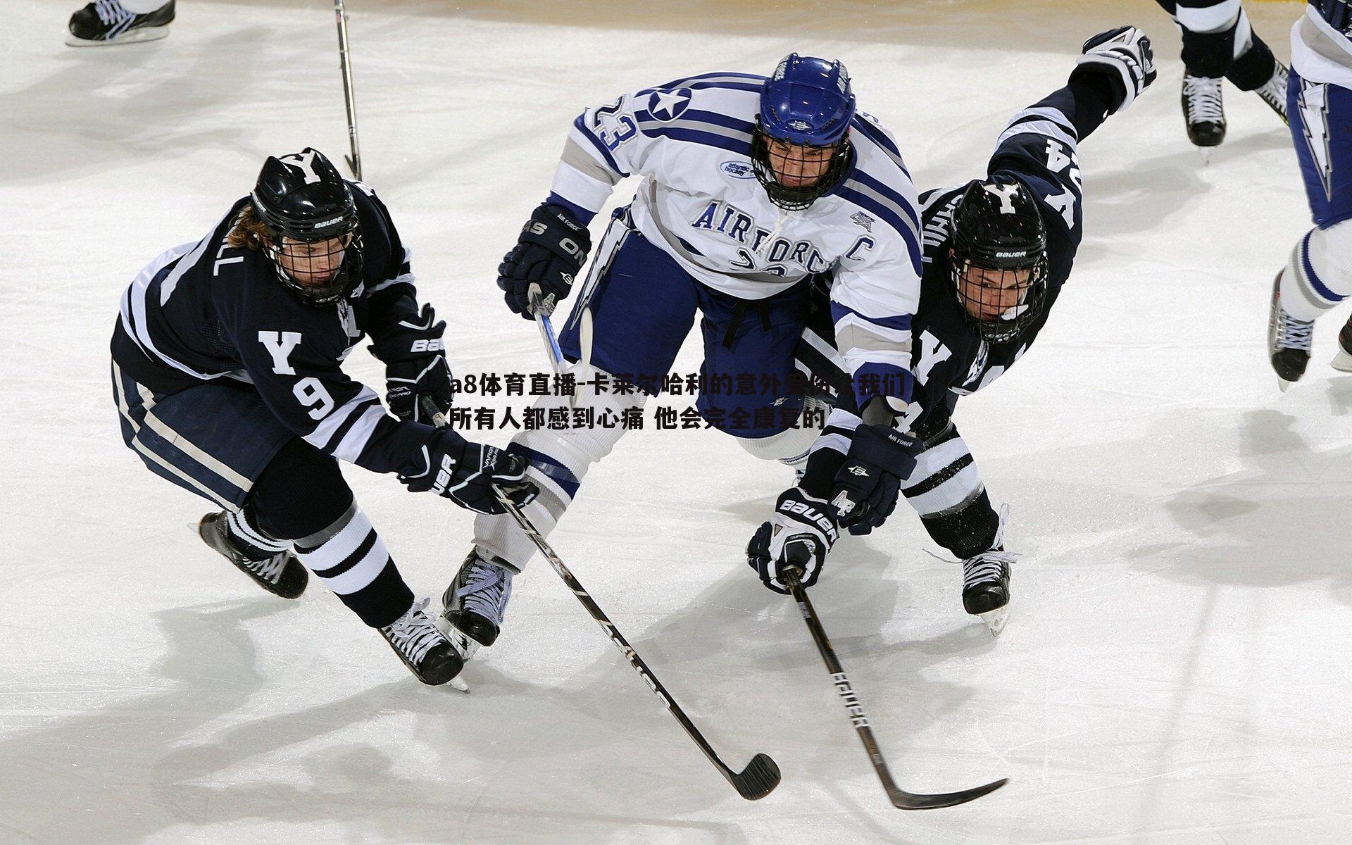 卡莱尔哈利的意外受伤让我们所有人都感到心痛 他会完全康复的
