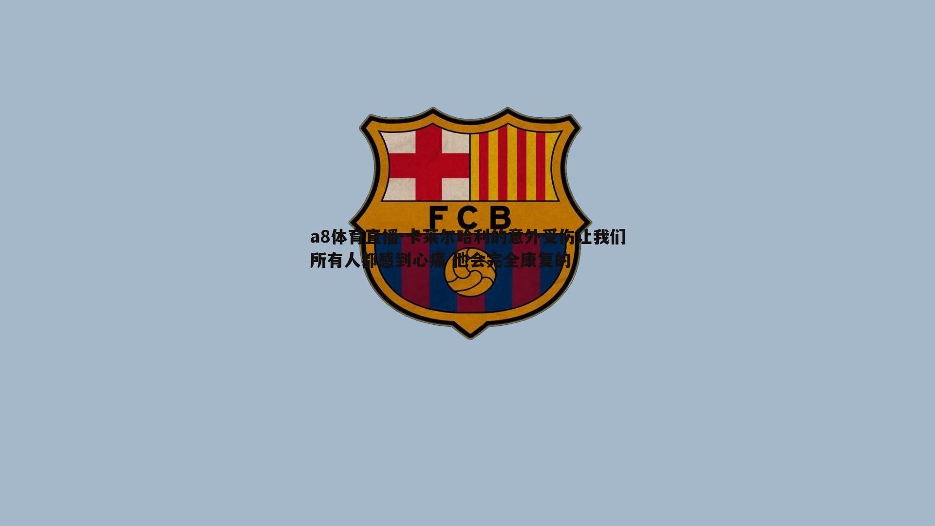 卡莱尔哈利的意外受伤让我们所有人都感到心痛 他会完全康复的